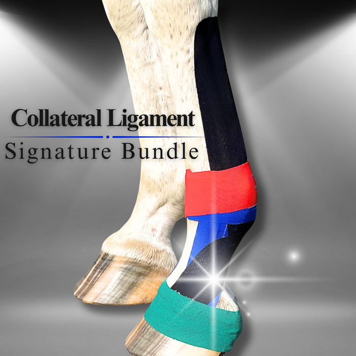 Collateral Ligament Signature Bundle