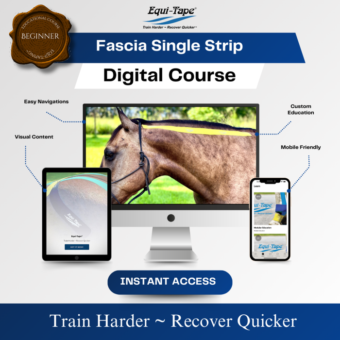 Module: Fascia