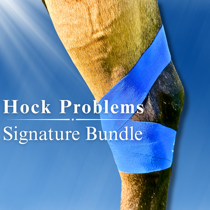Hock Problems Signature Bundle