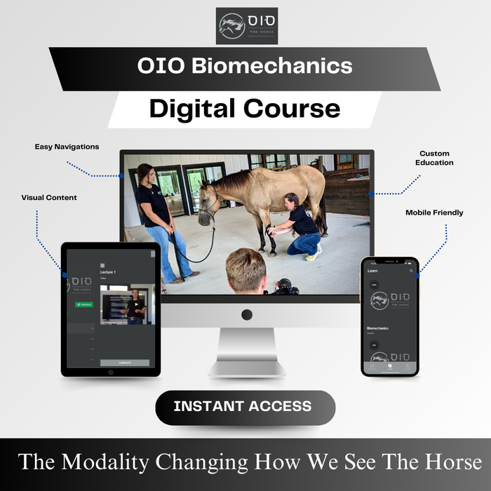 OIO - Equine Biomechanics Course