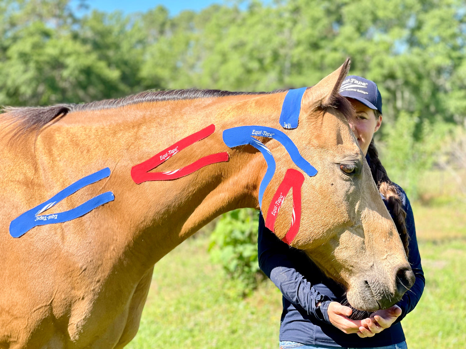 What is the Equi-Taping™ Methodology