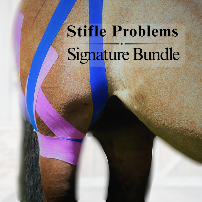 Stifle Problems Signature Bundle