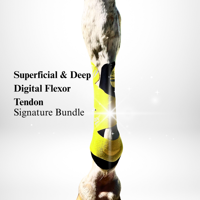 Superficial & Deep Digital Flexor Tendon Signature Bundle