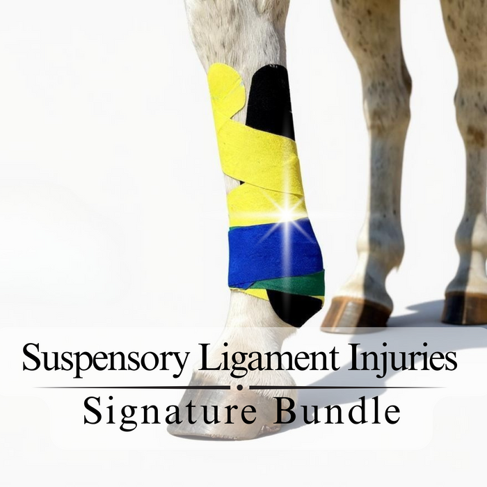 Suspensory Ligament Injuries Signature Bundle