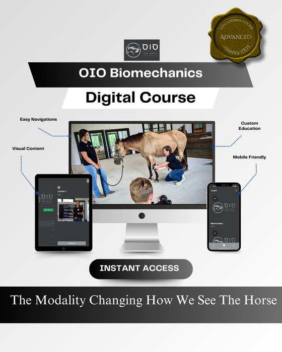 OIO - Equine Biomechanics Course