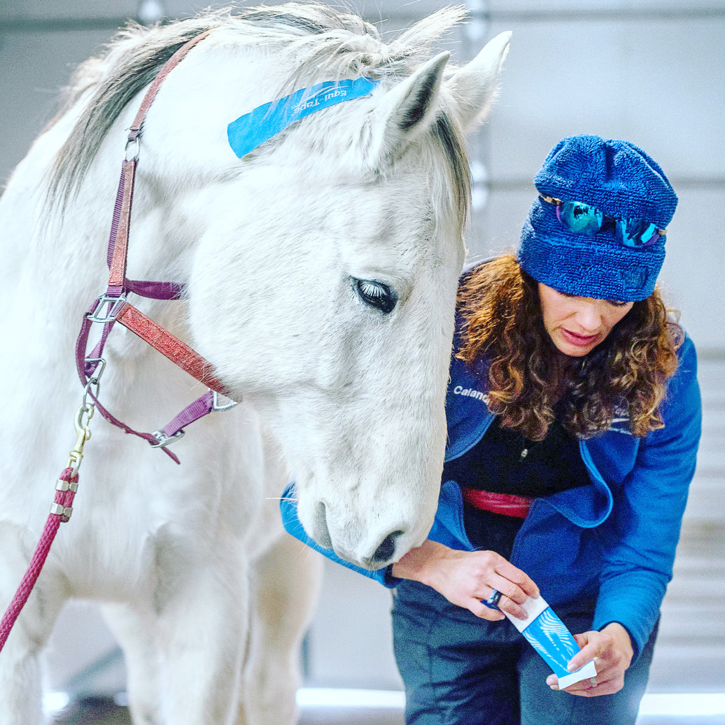 Learn The Basics Of Equi-Taping®