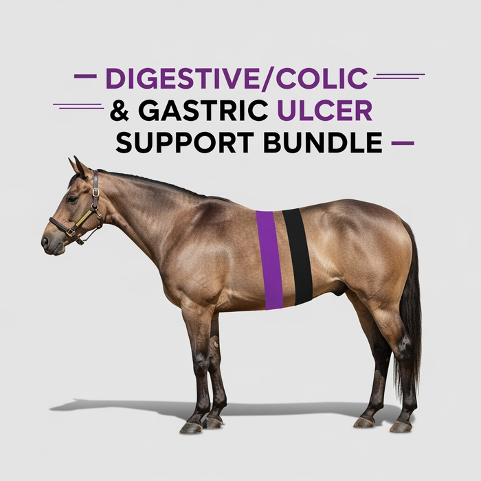 Digestive/Colic & Gastric Ulcer Support Signature Bundle