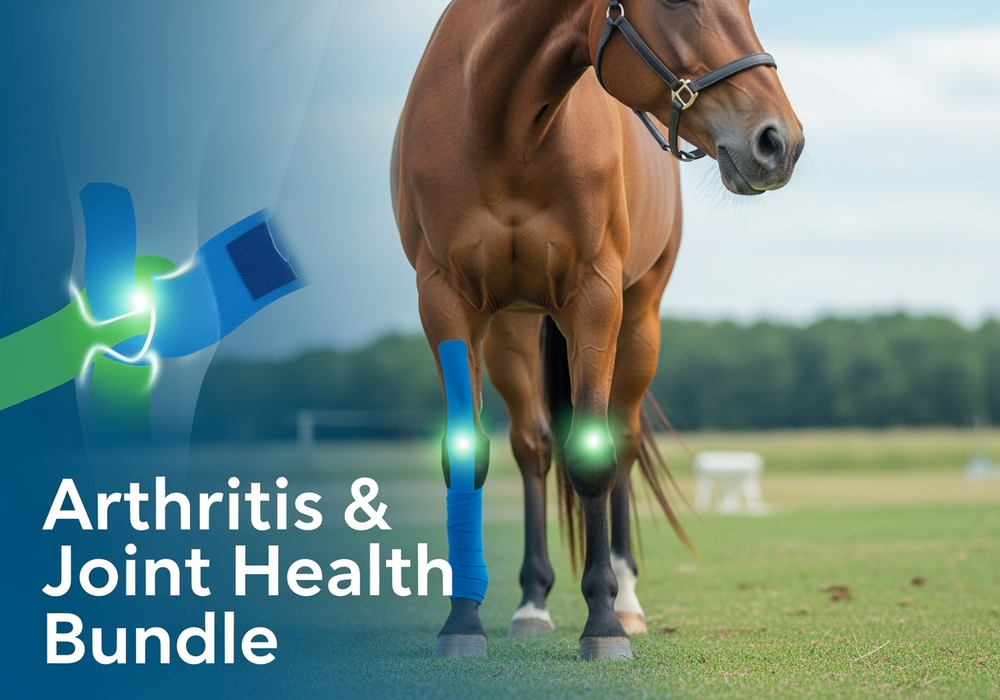 Arthritis/Degenerative Joint Disease Signature Bundle