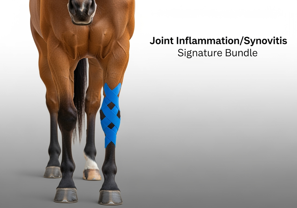 Joint Inflammation/Synovitis Signature Bundle
