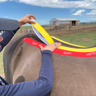 How can I help my horse with Equi-Tape®?
