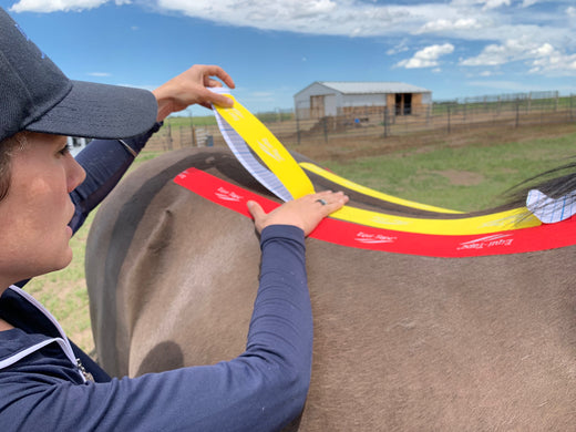 How can I help my horse with Equi-Tape®?