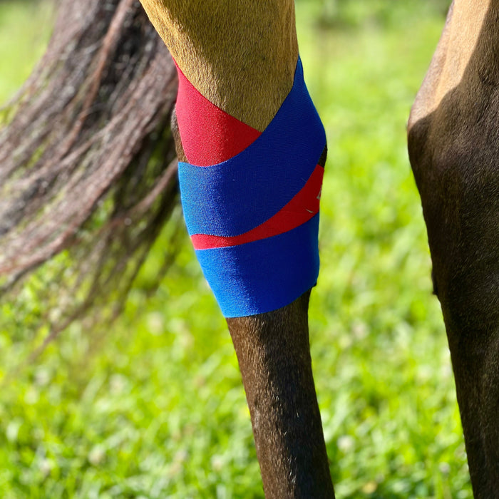 Equi-Tape® Hock application