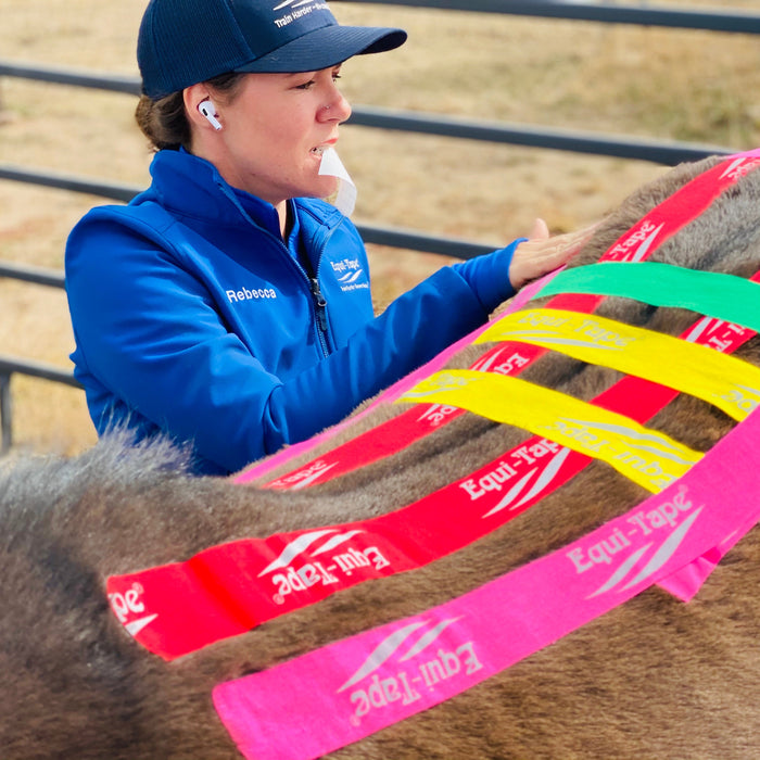 Why is a horse's sore back so complicated? | Equi-Tape®