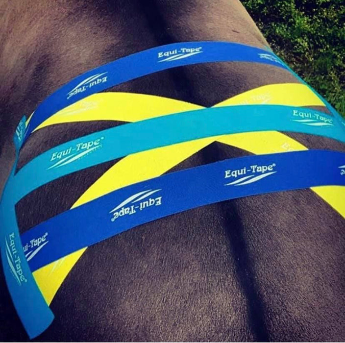 Equi-Tape® Fundamentals Course & Module Bundle