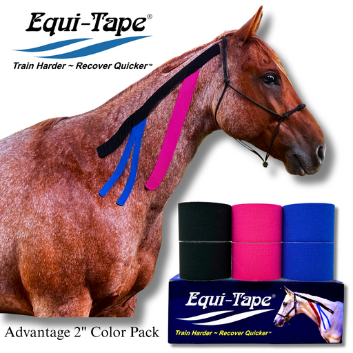 Horse wearing Equi-Tape with a display of pink, blue, and black rolls of tape.