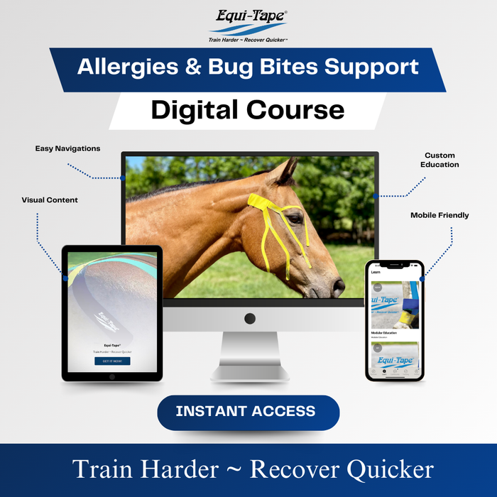 Equi-Tape®'s Practical Solutions ALA Carte application video for horses with seasonal allergies, irritate eyes, running nose, or horses who have bug bites on the face. 