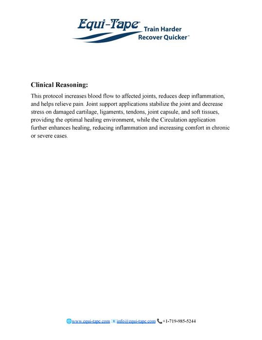 Arthritis/Degenerative Joint Disease Protocol