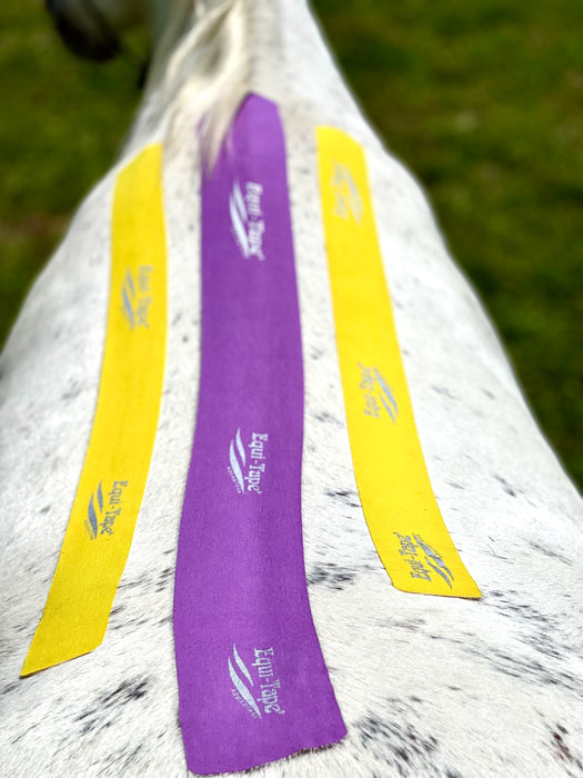 Equi-Taping® Beyond The Basics