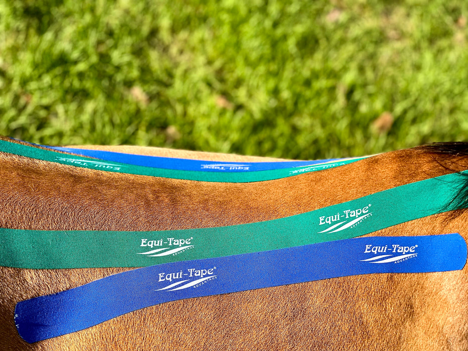 The Fundamentals of Equi-Taping® Online Course