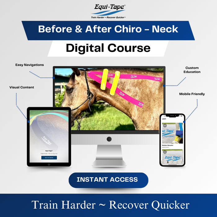 Equi-Tape®'s Practical Solutions ALA Carte application video for horse's necks before or after a chiropractic session. 