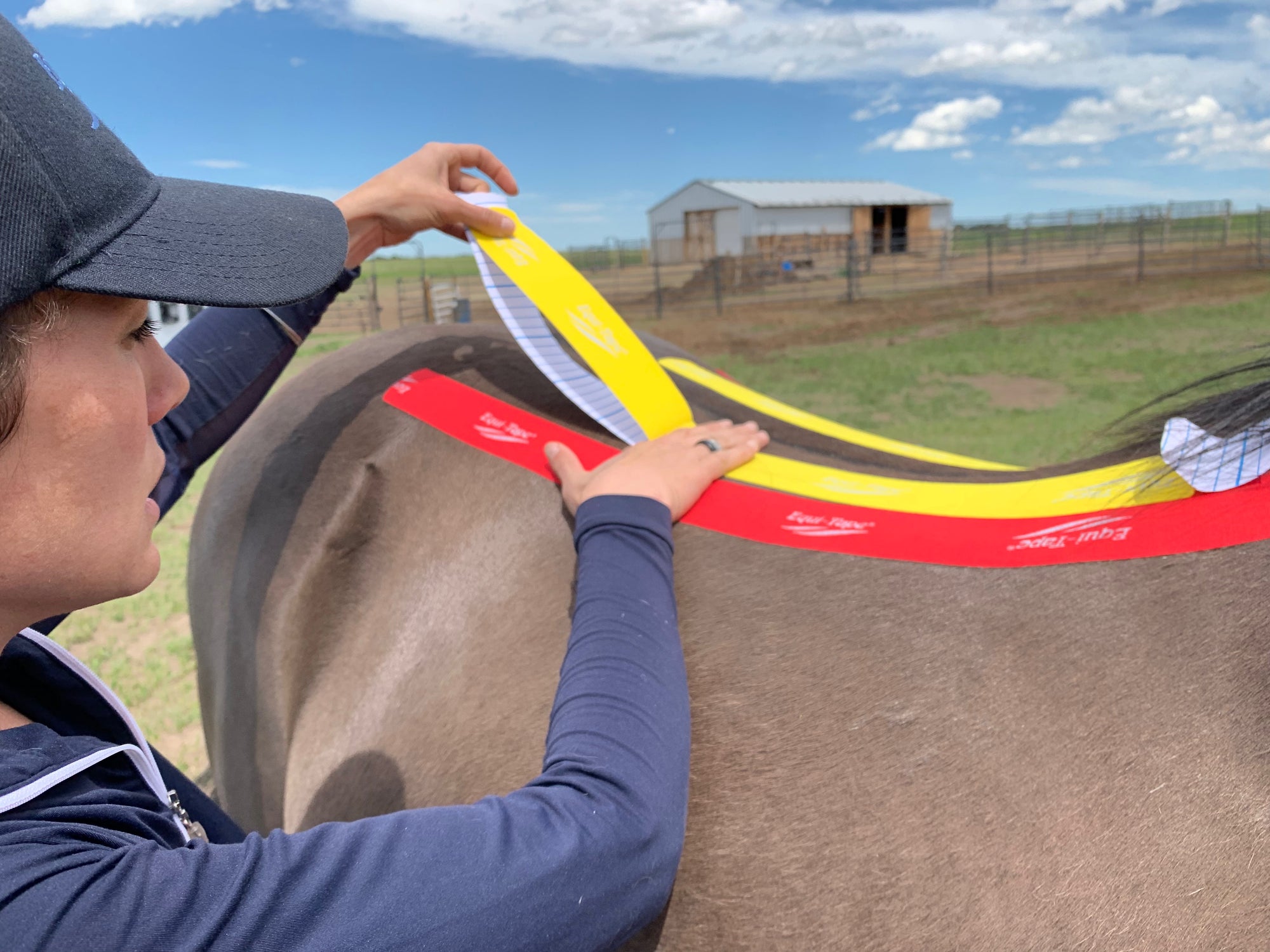 Get started Equi-Taping with our monthly subscription course, The Practical Solutions Series. The Practical Solutions Series demonstrates simple yet effective applications for using equine elastic kinesiology tape every day.