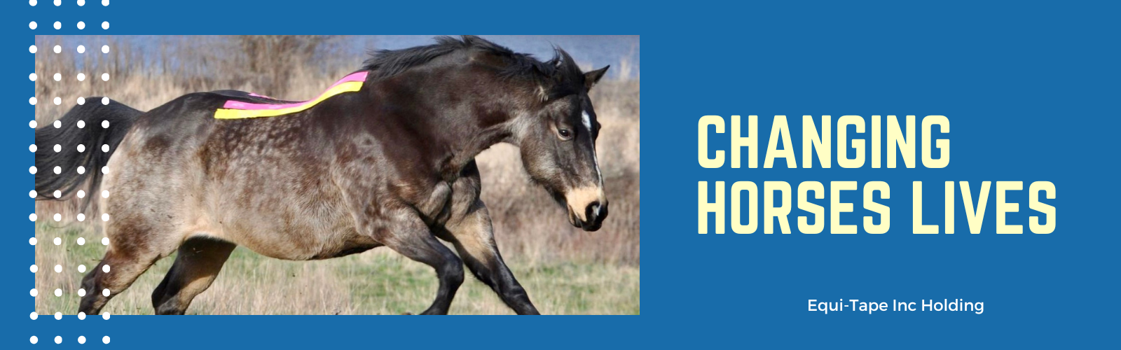Change horses' lives with Equi-Tape
