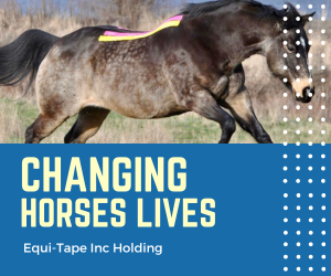 Change horses' lives with Equi-Tape
