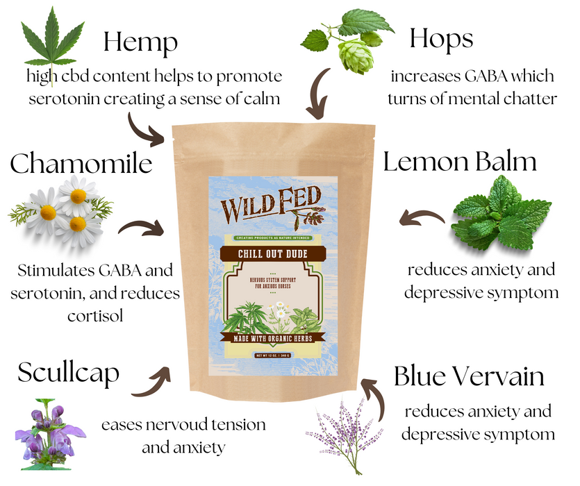 Wild Fed Chill Out Dude Organic Herbal Horse Supplement