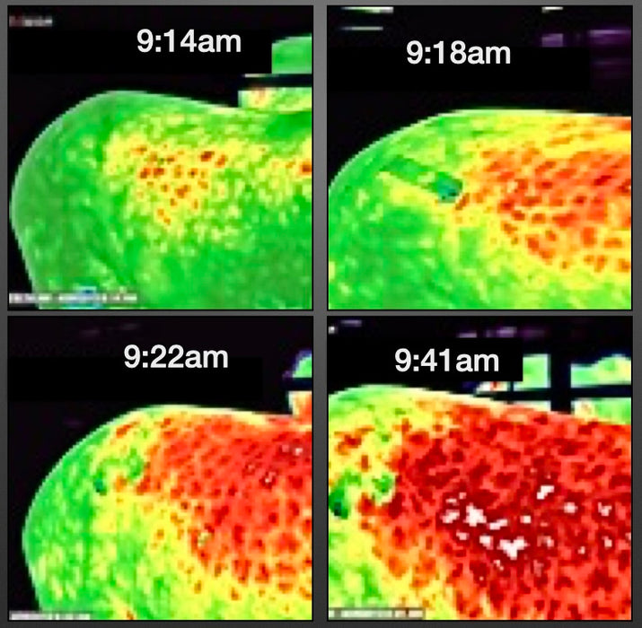 Equi-Taping® Beyond The Basics