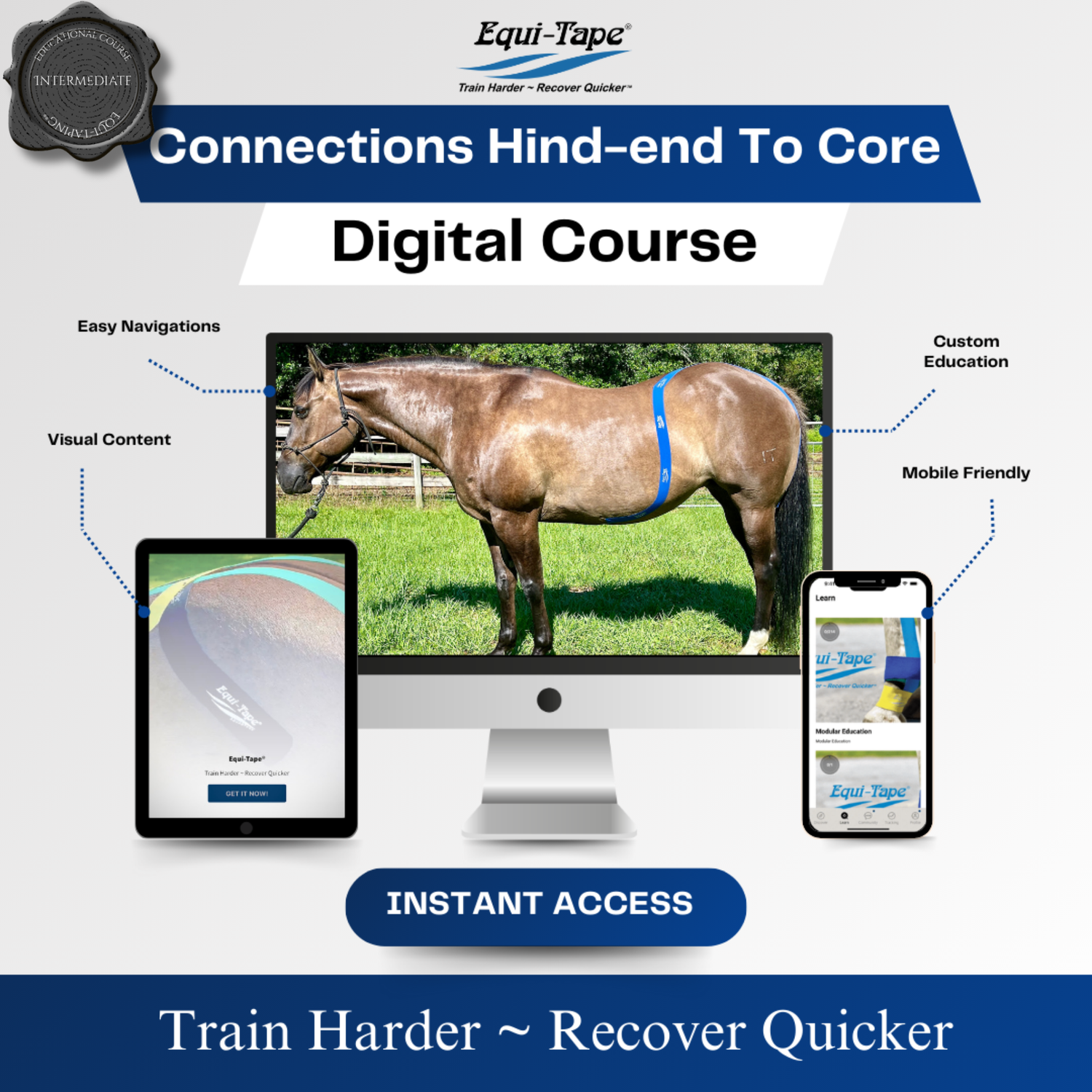 Equi-Tape Connection Module Level 1 - Hind-end to Core. This module covers the horse's self-carriage, ability to collect while in work undersaddle, and offers an "aid-free" solution to encourage true collection. 
