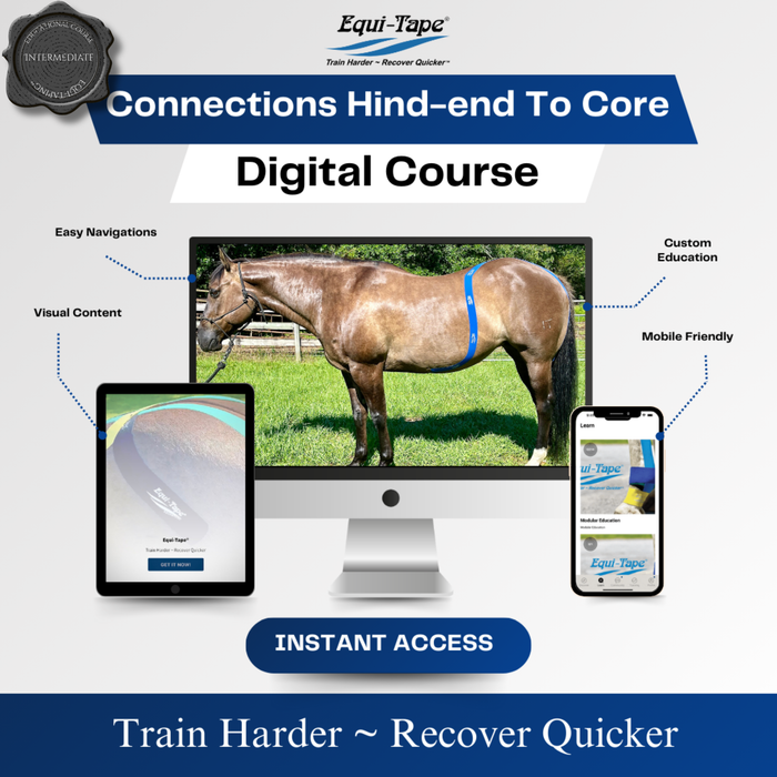 Equi-Tape Connection Module Level 1 - Hind-end to Core. This module covers the horse's self-carriage, ability to collect while in work undersaddle, and offers an "aid-free" solution to encourage true collection. 
