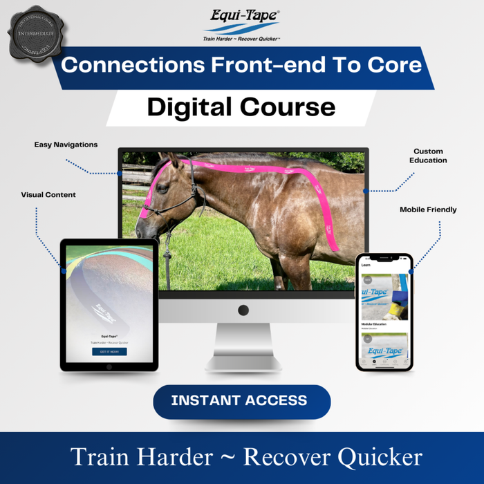 Equi-Tape® Connection Module level 2 - Head-Neck to Core Connection. This level teaches you how to use equine kinesiology tape to encourage your horse to not over bend or stick their noses out and grab the bit. It is a gentle but effect training aid alliterative that works. Avoid harsh bits and training aids - choose Equi-Tape®. 