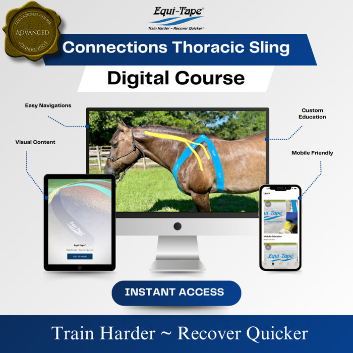 Equi-Tape Module Connections Level 3 - created to support and develop the equine thoracic sling. 