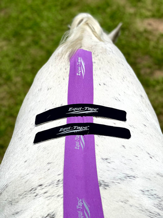 The Fundamentals of Equi-Taping® Online Course