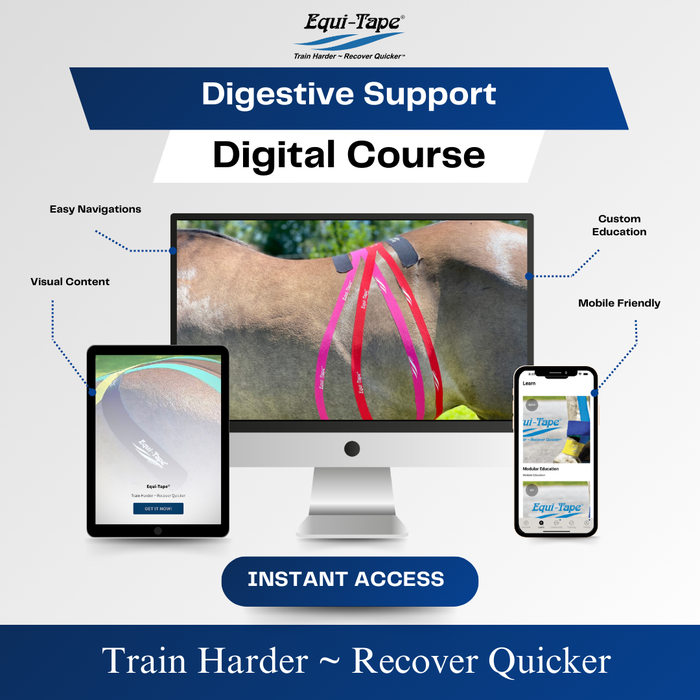 Equi-Tape®'s Practical Solutions ALA Carte application video for horses who need some digestive support, have ulcers, or belly issues. 