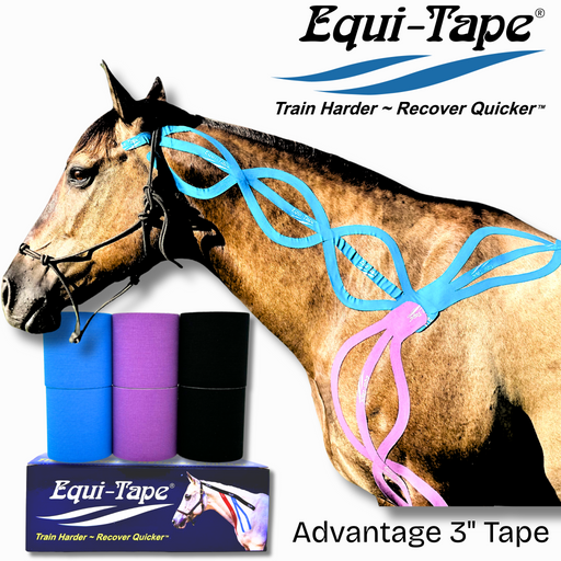 Horse wearing Equi-Tape with packaging and branding displayed