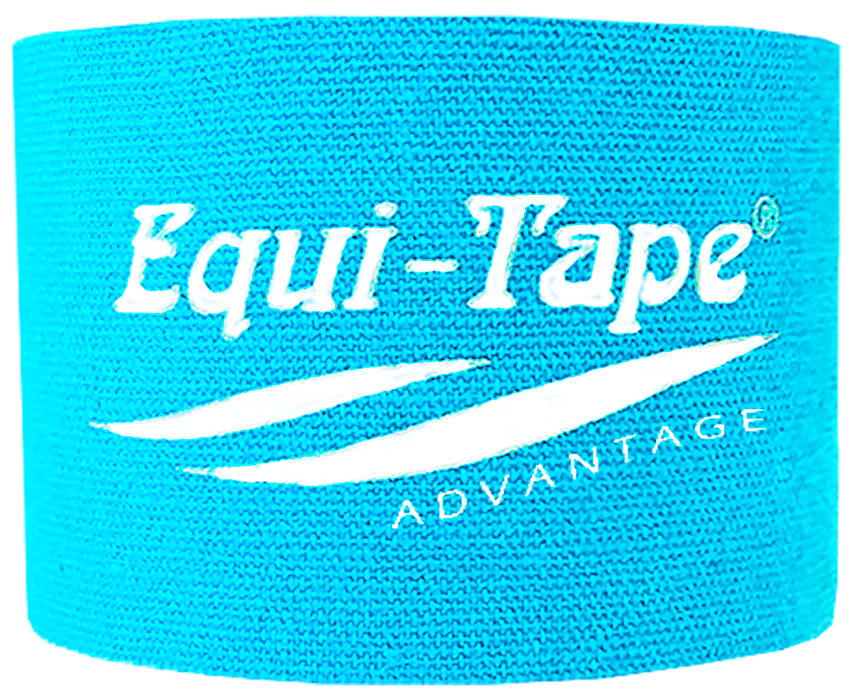 Advantage Light Blue 2"