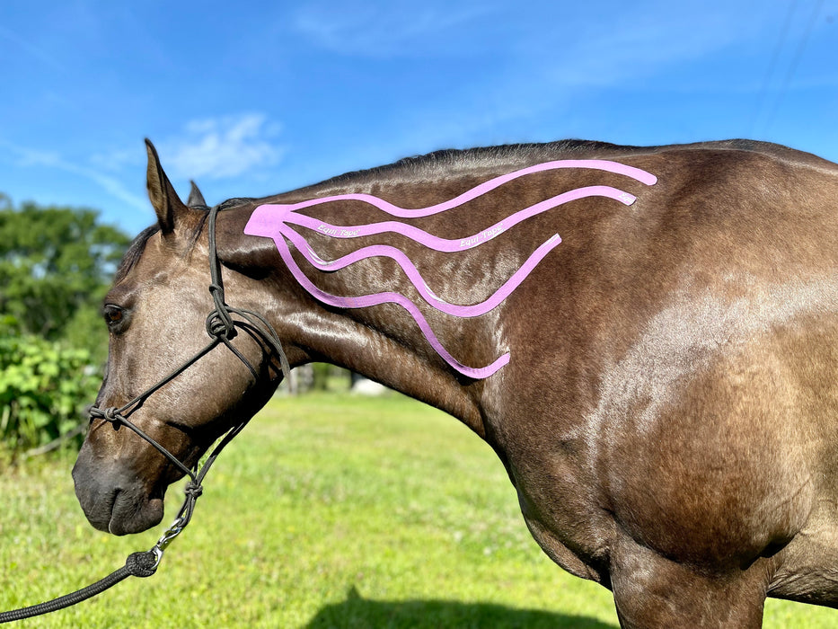 Equi-Tape® Fascia Application Level 2 - The fascia wave. Use this application for muscle fascia. Designed to keep muscles and the fascia around them adhesion and restriction free. Equine kinesiology taping.