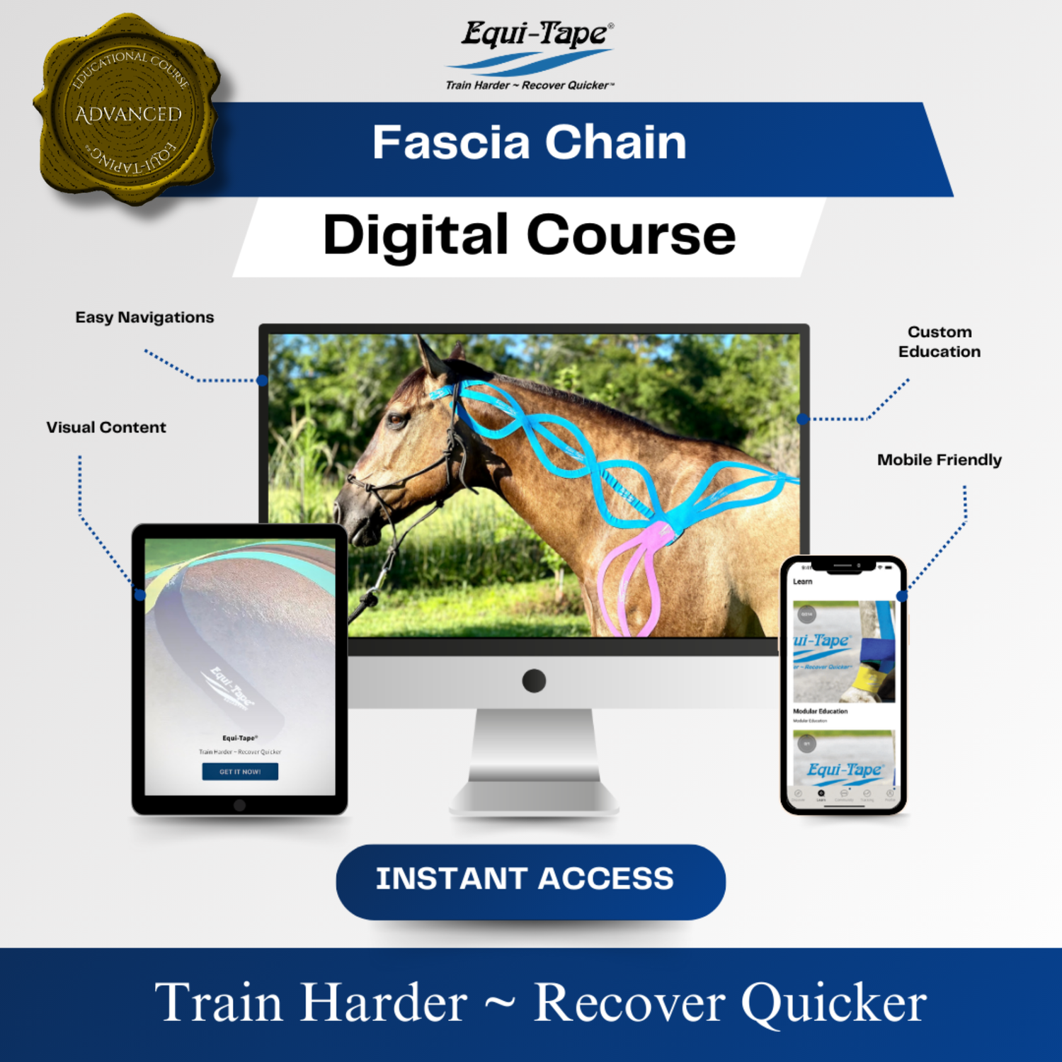 Equi-Tape Fascia Module—Level 3—Fascia Chain. This module covers using kinesiology tape to do myofascial work on the entire fascia line. 