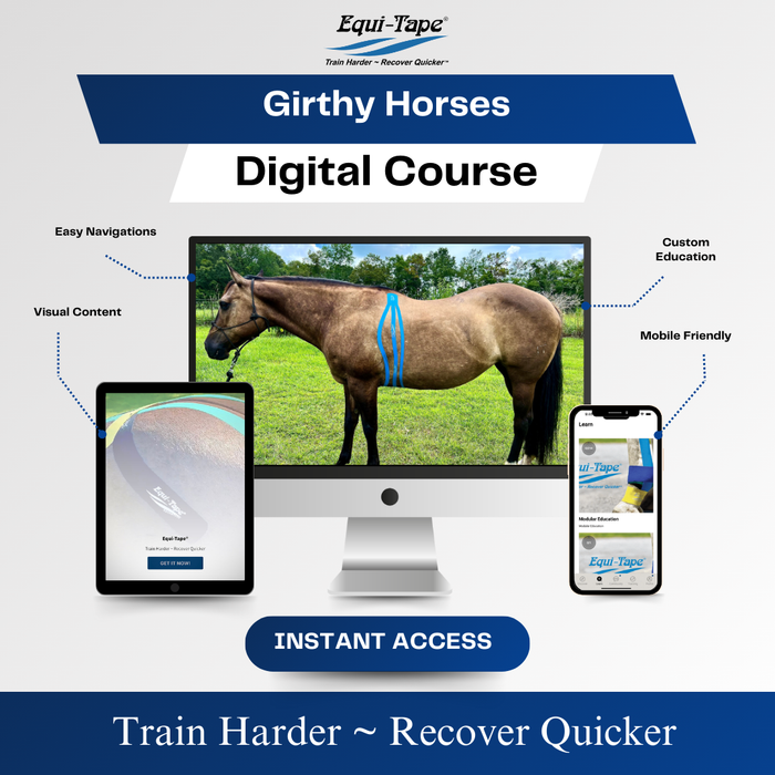 Equi-Tape®'s Practical Solutions ALA Carte application video for girthy horses.