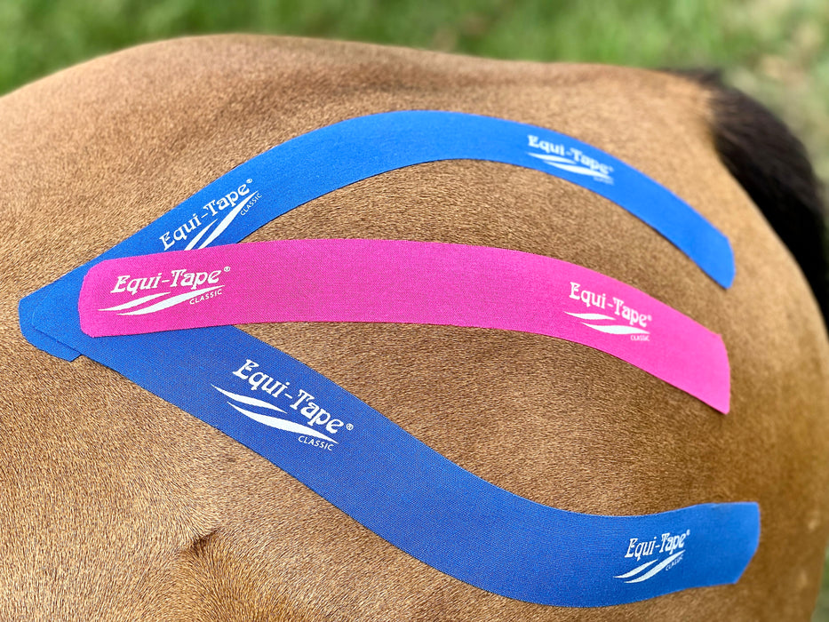 The Fundamentals of Equi-Taping® Online Course