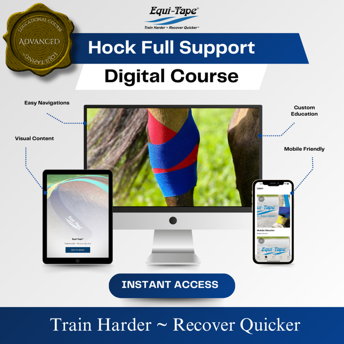 Equi-Tape Hock Module. Created for equine hock injuries - sprains, tears, capped hocks, bone flavin, pre & post injections, or extreme competition. 