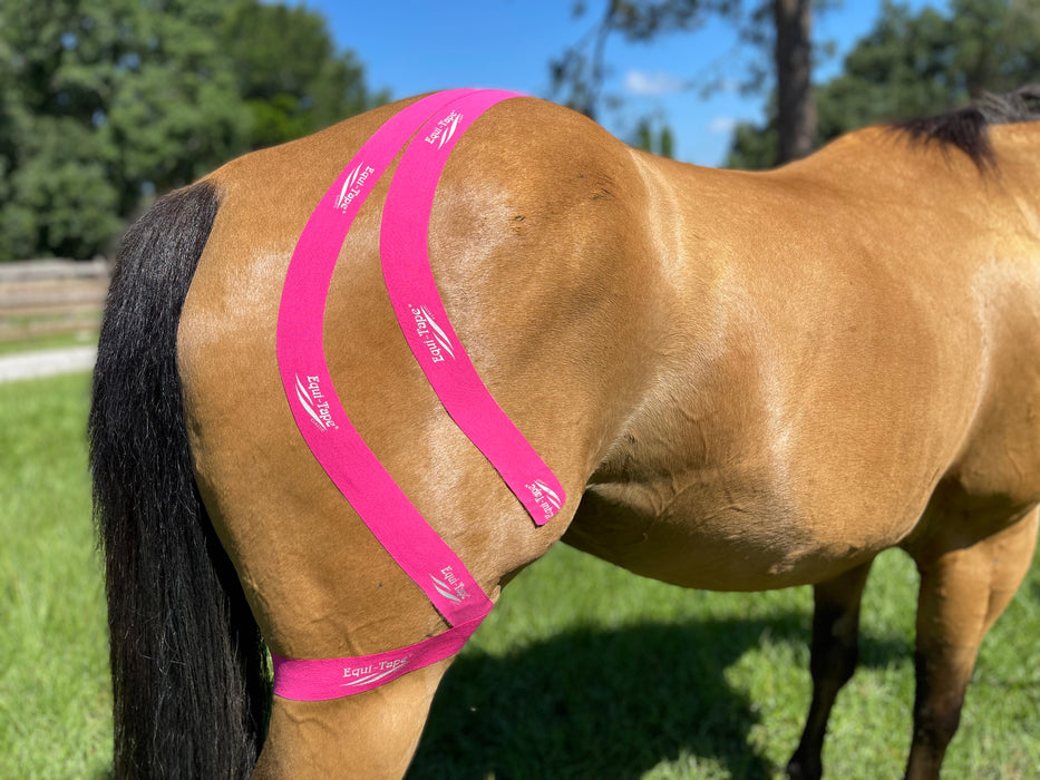 Equi-Tape® Fundamentals Course & Module Bundle