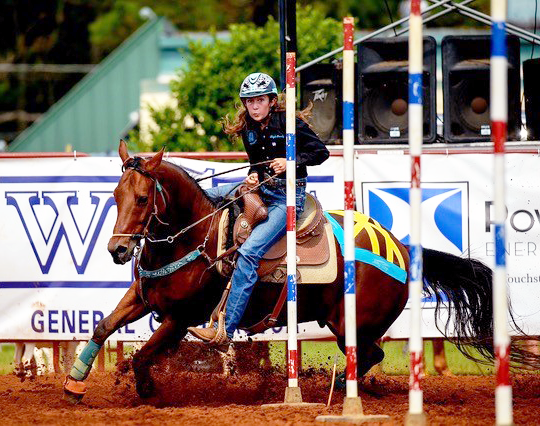 Equine Anatomy vs. Human Skin