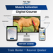 Equi-Tape®'s Practical Solutions ALA Carte application video for horses who need to build the tensor fascia latae (TFL), one of the primary muscles in stifle function. 