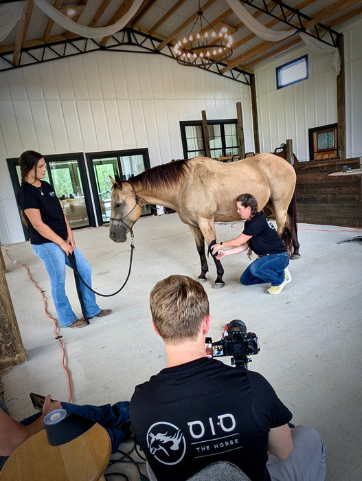 OIO - Equine Biomechanics Course