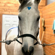 Equi-Tape Happy Horse