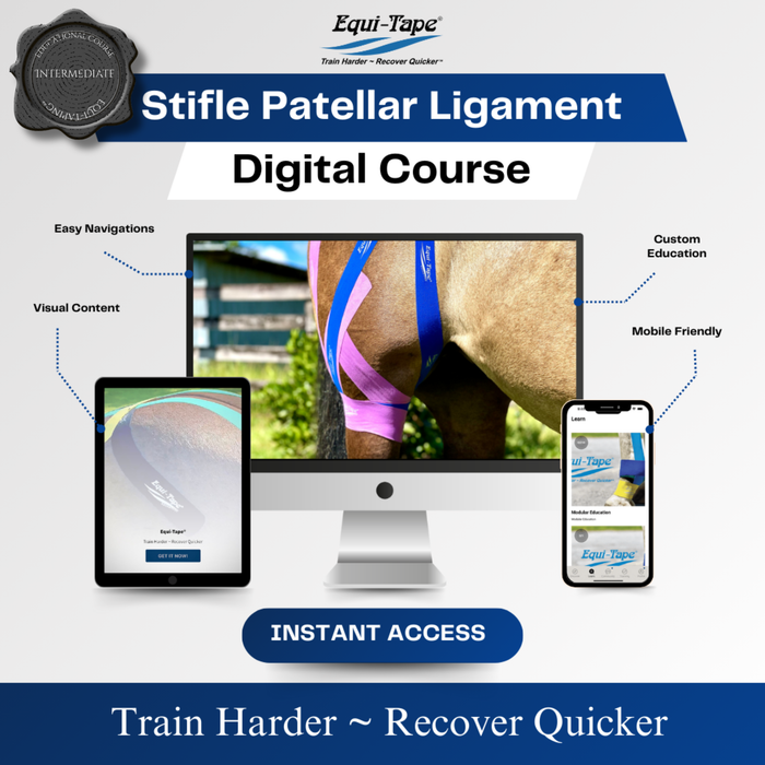 Equi-Tape®'s equine kinesiology taping application for: Patellar Ligament: Stabilization and overall joint support. Use this application for most stifle joint issues. 