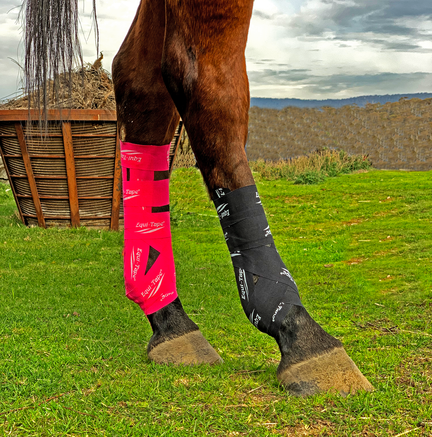 Equi-Tape® frente a otras cintas de kinesiología comercializadas para su uso en animales