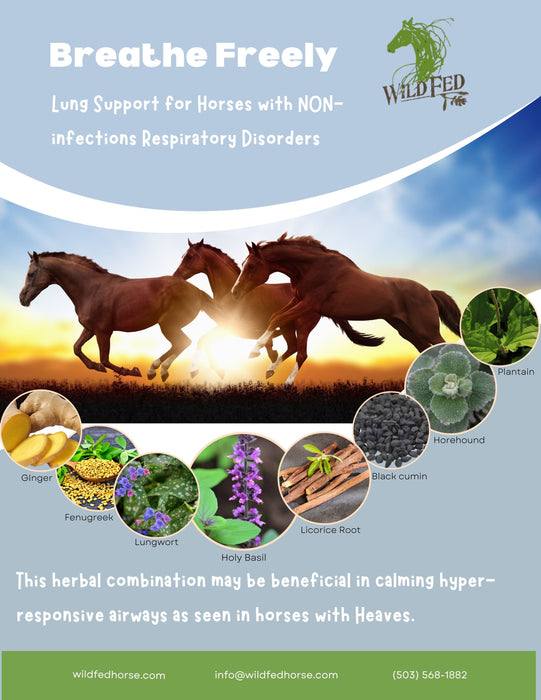 Wild Fed Breathe Freely Organic Herbal Horse Supplement
